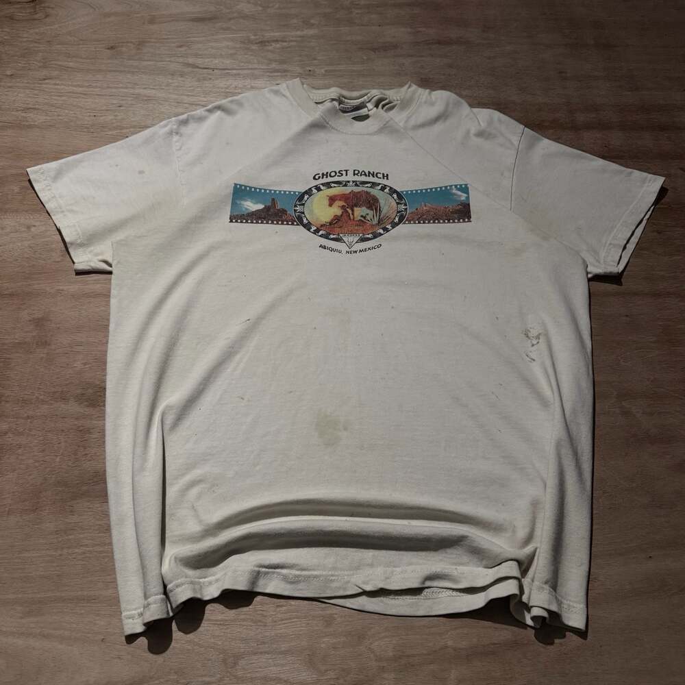 Vintage Y2K Ghost Ranch New Mexico Distressed Trashed Graphic Tee Hanes L